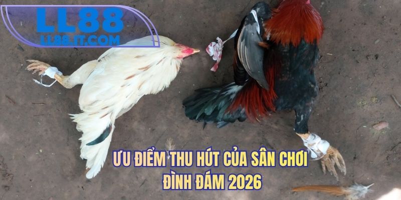 Ưu điểm thu hút của sân chơi đình đám 2026